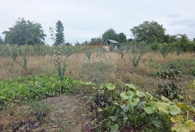 Casa cu livada si teren generos - Girov - 49