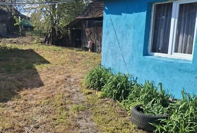 Casă cu 3 camere în Borod - 5