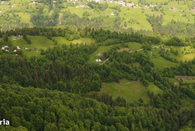 Casă cu 4 camere cu Teren 62000 Mp în Horea - 13