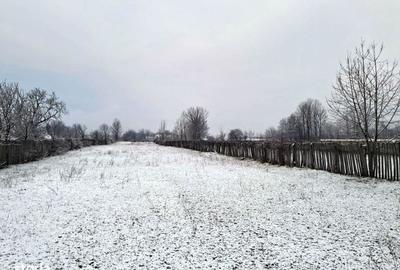 Spațiu comercial, în Polovragi - 6