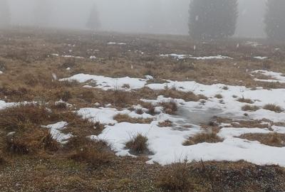 Teren de 2000 mp, în Exterior Vest - 5