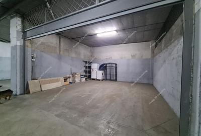 Penthouse Central 180 mp pet-friendly cu Vedere Panoramica si Garaj dublu - 17