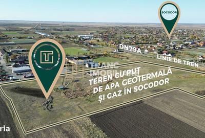 Spațiu comercial, în Socodor - 2
