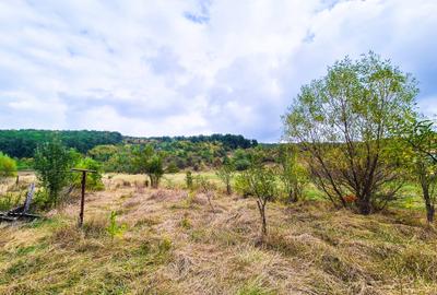 Teren 1,4 hectare Draganu Arges - 2