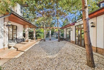 Vila spectaculoasa in Balotesti, curte 5000 mp si piscina interioara - 3