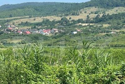 Teren Saratel, 30 ari extravilan - 4