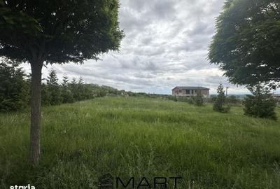 Spațiu comercial, în Roșia - 1