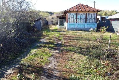 Casa de vanzare - 1