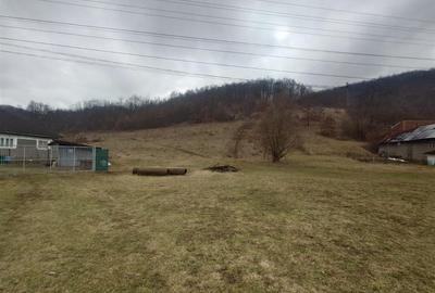 Casă cu 3 camere cu Teren 12861 Mp în Luncoiu de Jos - 17