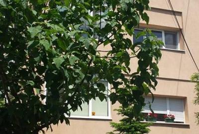 Apartament cu 4 camere decomandat, mobilat în Cotroceni - 1