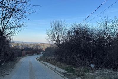 Spațiu comercial, în Rășinari - 6