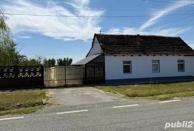 Vand casa in satul brestea Vand casa in satul brestea - 8