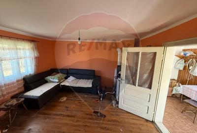 Casă individuală cu 2 camere cu Teren 2002 Mp în Dumbrăvița - 6