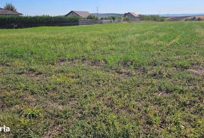 Teren de 3844 mp, în Rediu - 2