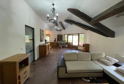 Vila deosebita, 2 corpuri P+M si P+1E, Margineni-Bacau - 23