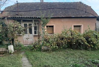 Casă cu 2 camere în Mișca - 6