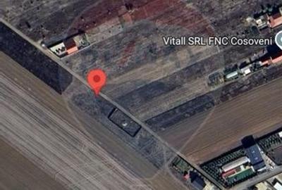 Teren 300 mp Cosoveni / Aleea Ulmului - 2