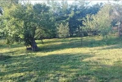 Casă cu 3 camere în Central - 1