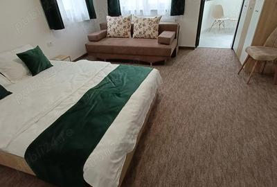 Casă cu 6 camere cu Teren 500 Mp în Băile 1 Mai - 8