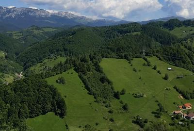 Spațiu comercial, în Cheia - 5