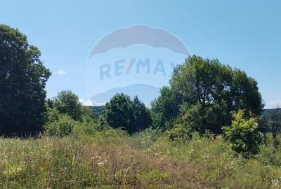 Teren 3,871mp Varmaga / None - 3