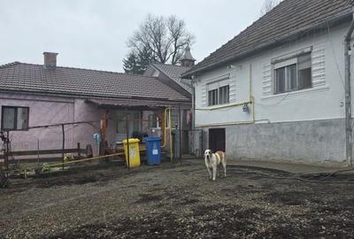 Casă cu 4 camere în Zoreni - 7