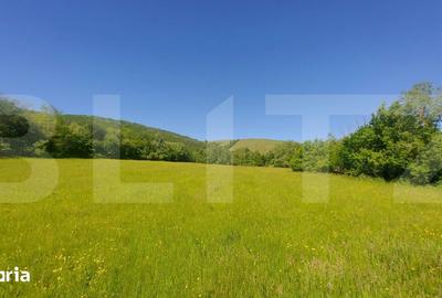 Teren de 36200 mp, în Ozun - 2