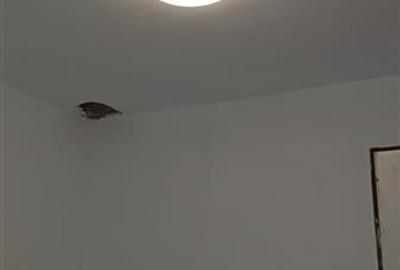 Apartament cu 2 camere la parter zona Sagului - 3