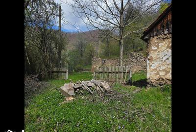 Teren de 3000 mp, în Certeju de Sus - 3