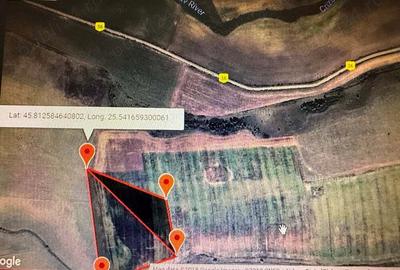 Arendez teren 5 ha Feldioara Arendez teren 5 ha Feldioara - 1