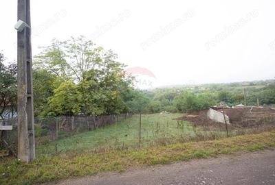 Teren intravilan de vanzare in Pacli?a 0% COMISION - 3