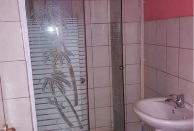 Apartament 2 camere confort 2 sporit Viziru 1 - 4