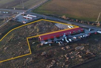 Teren de 10100 mp, în Horia - 5