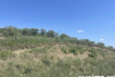 Teren de 23000 mp, în Dej - 4