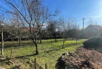 Casă cu Teren 2544 Mp în Cicârlău - 8