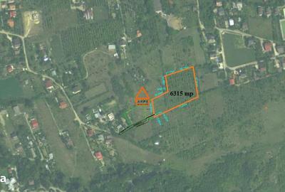 Spațiu comercial, în Bârnova - 7