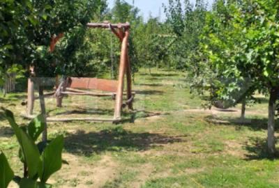 Casă cu 4 camere cu Teren 1478 Mp în Lazuri - 1