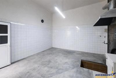 3D! Ansamblu casa+productie+comercial, 3 corpuri,acces stradal,Tudor,Targu Mures, potential ridicat - 3