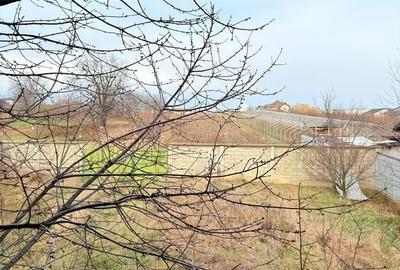 Casa cu 8800mp teren in Manastirea Doamnei - 3