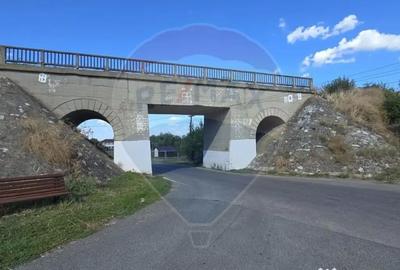 Casă cu 6 camere cu Teren 2655 Mp în Toporu - 3