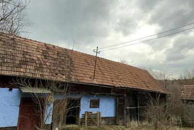 Casă cu 3 camere cu Teren 3500 Mp în Central - 10