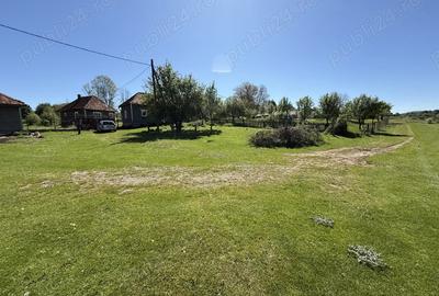 Vind casa in Tomnatic - 3