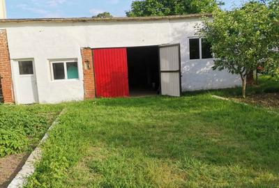 Casă cu 6 camere în Merei - 4