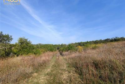 Teren extravilan zona - 6