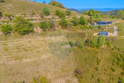 Teren de 6014 mp, în Holbav - 3