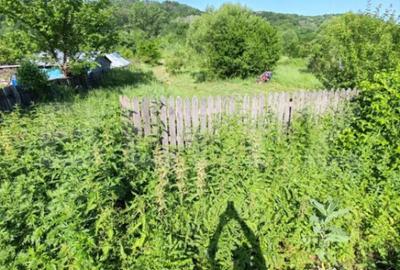 Teren de 4183 mp, în Central - 4