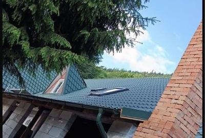 Casă cu 4 camere în Lepșa - 2