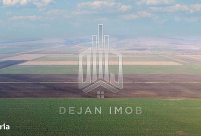 Spațiu comercial, în Moacșa - 2