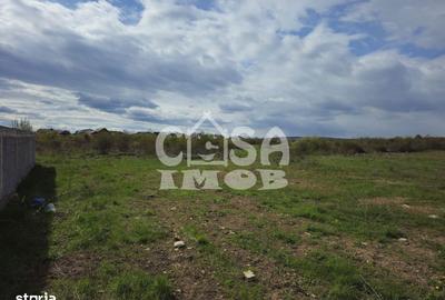 Teren de 3100 mp, în Priseaca - 5