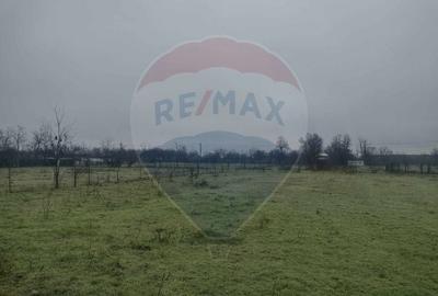 Teren agricol intravilan de 2205 mp, în Cocora - 2